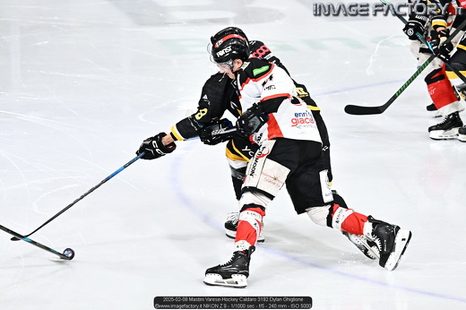 2025-02-08 Mastini Varese-Hockey Caldaro 3192 Dylan Ghiglione